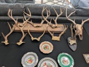 PXL_20260303_152527424