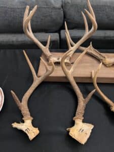 PXL_20260303_152530706