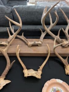 PXL_20260303_152532426