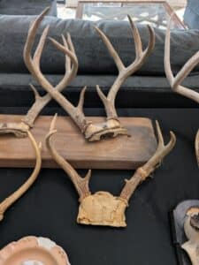 PXL_20260303_152533705