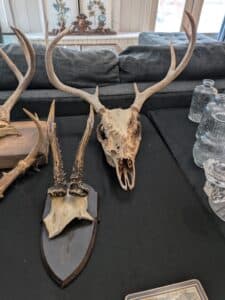 PXL_20260303_152537324