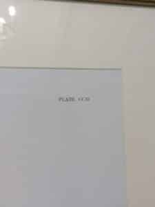 PXL_20260303_153037939