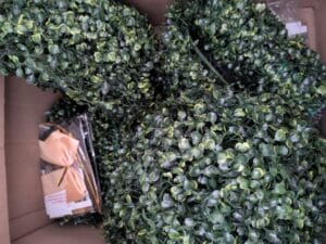 PXL_20260303_155459959