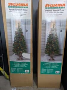 PXL_20260303_155738780