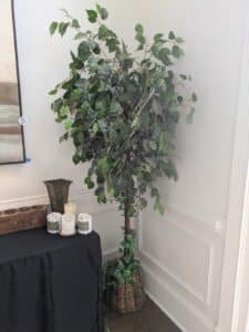 PXL_20260310_172013786