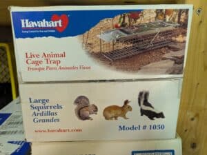 PXL_20260310_182338420