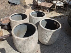 PXL_20260311_164300012