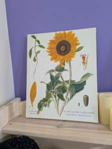 PXL_20260317_194753193