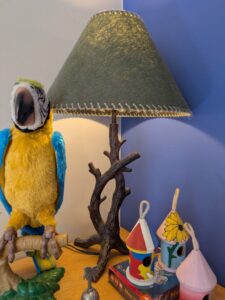 PXL_20260317_195916708