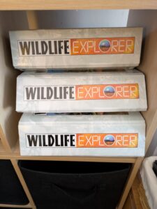 PXL_20260317_200123919