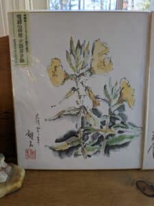 PXL_20260318_145836145