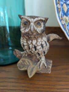 PXL_20260318_150842642