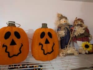 PXL_20260318_185255231