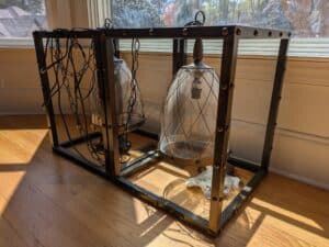 PXL_20260324_170659393