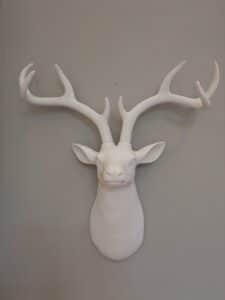 PXL_20260324_170759603