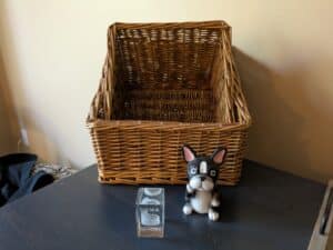 PXL_20260324_172734037-1