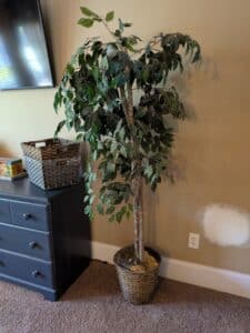 PXL_20260324_172744808-1