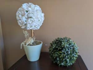 PXL_20260324_172857400-1