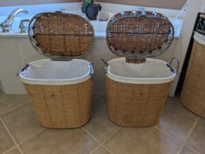 PXL_20260324_172918543-1