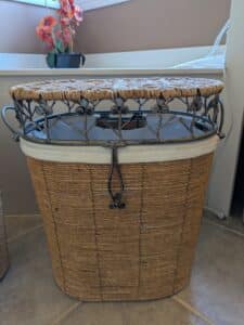 PXL_20260324_172930132-1