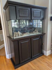 PXL_20260324_175945553-1