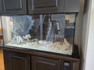 PXL_20260324_175956791-1