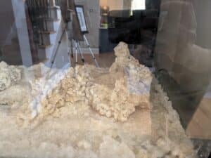 PXL_20260324_180000059-1