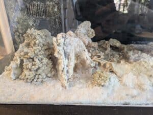 PXL_20260324_180004733-1