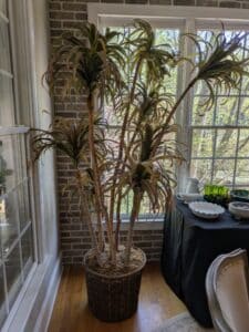 PXL_20260324_182627104-1