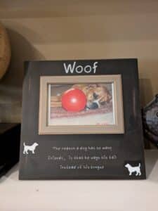 PXL_20260324_191207480