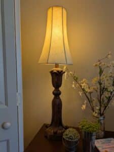 PXL_20260324_195240098