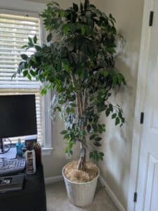 PXL_20260324_195729597