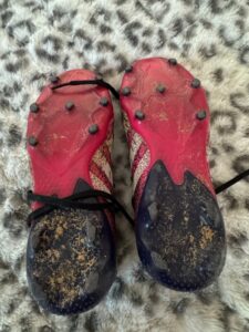 Adidas-Predator-Freak.-FG-Soccer-Cleats-third-image