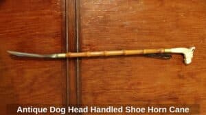 Antique-Dog-Head-Handled-Shoe-Horn-Cane-second-image