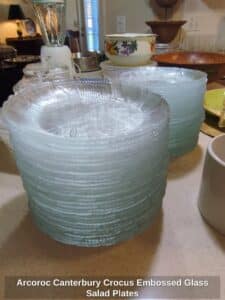 Arcoroc-Canterbury-Crocus-Embossed-Glass-Salad-Plates