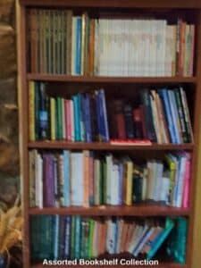 Assorted-Bookshelf-Collection
