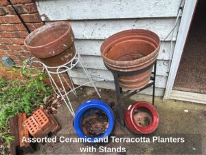 Assorted-Ceramic-and-Terracotta-Planters-with-Stands