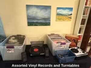 Assorted-Vinyl-Records-and-Turntables-1