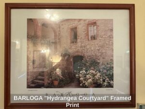 BARLOGA-Hydrangea-Courtyard-Framed-Print