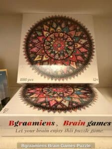 Bgraamiens-Brain-Games-Puzzle