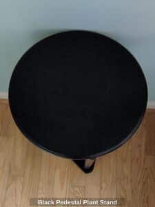 Black-Pedestal-Plant-Stand