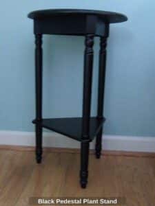 Black-Pedestal-Plant-Stand-second-image
