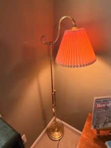Brass-Gooseneck-Floor-Lamp-with-Pleated-Shade