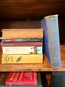 Collection-of-Vintage-Books-including-Gone-with-the-Wind-I-Know-This-Much-Is-True-A-Density-of-Souls-and-Websters-Dictionary