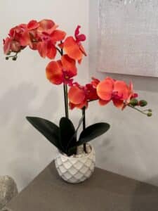 Coral-Phalaenopsis-Orchid-Arrangement-in-Scale-Patterned-Pot-1