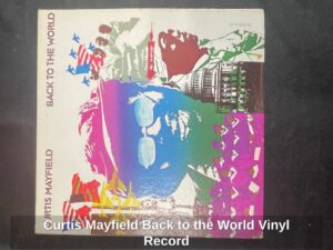 Curtis-Mayfield-Back-to-the-World-Vinyl-Record