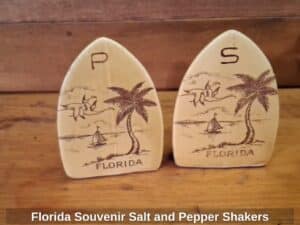 Florida-Souvenir-Salt-and-Pepper-Shakers