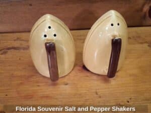 Florida-Souvenir-Salt-and-Pepper-Shakers-second-image