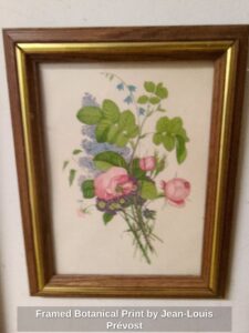 Framed-Botanical-Print-by-Jean-Louis-Prvost-1