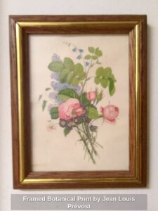 Framed-Botanical-Print-by-Jean-Louis-Prvost